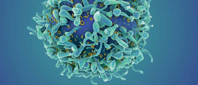 Ko elpo Latvijas zinātne