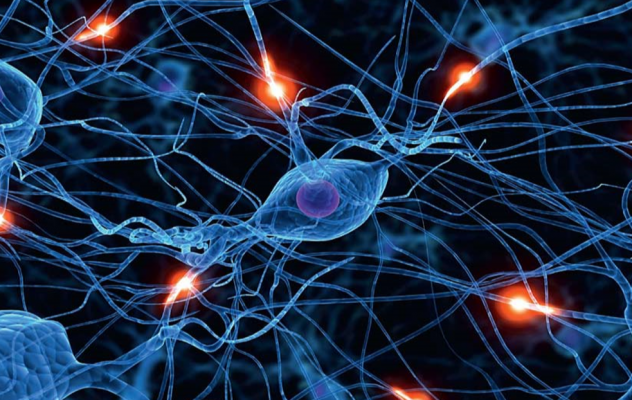 Bioelektroniskās nākotnes vīzija